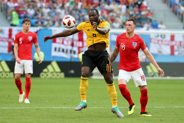 比的观赏价 比的观赏价