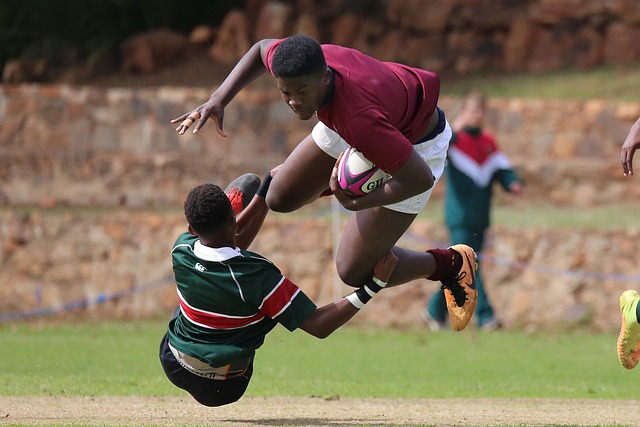 的表现进行 的表现进行